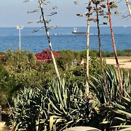 Diamond Complex * פאפוס